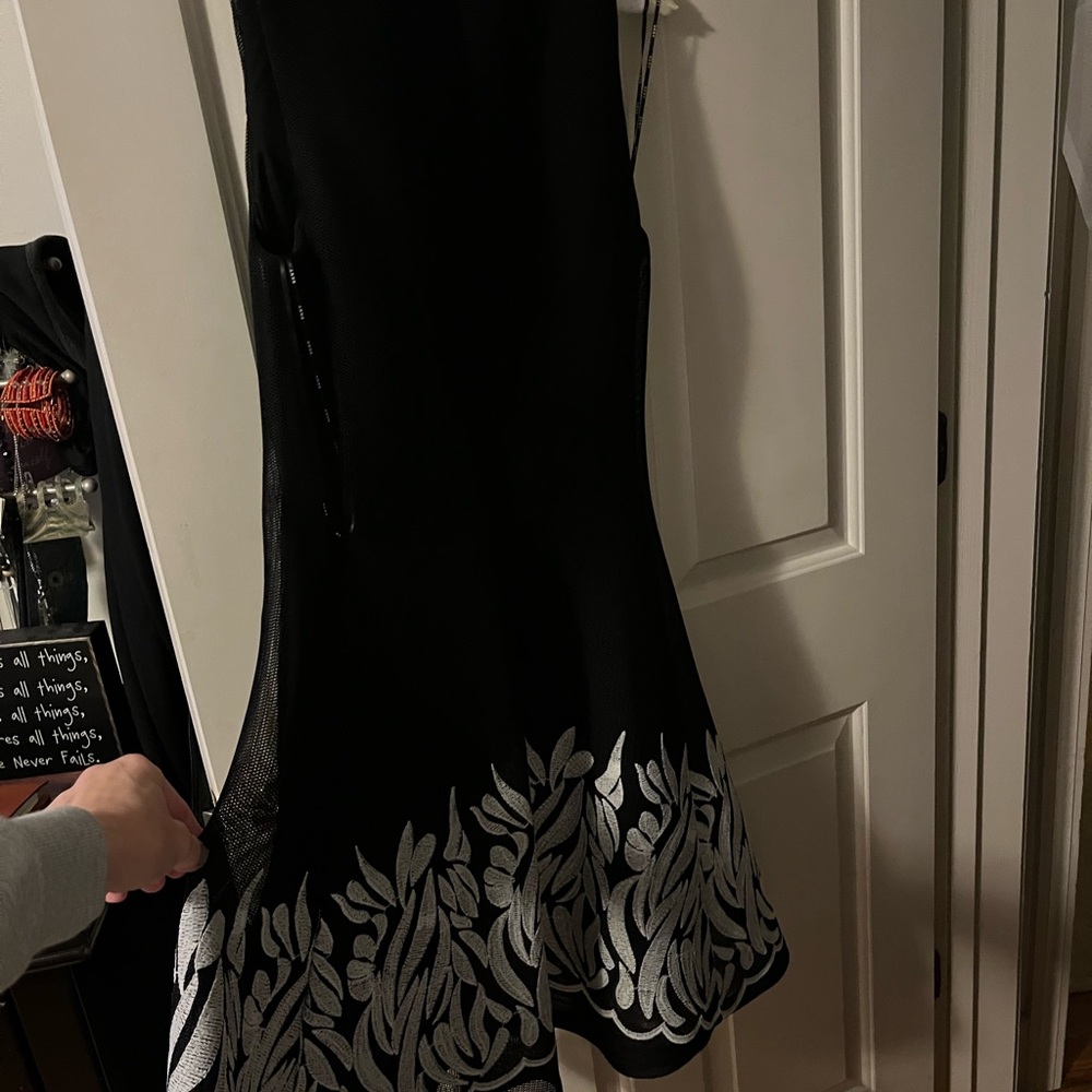 Elegant DKNY embroidered mesh Dress SZ 10 - Picture 6 of 7